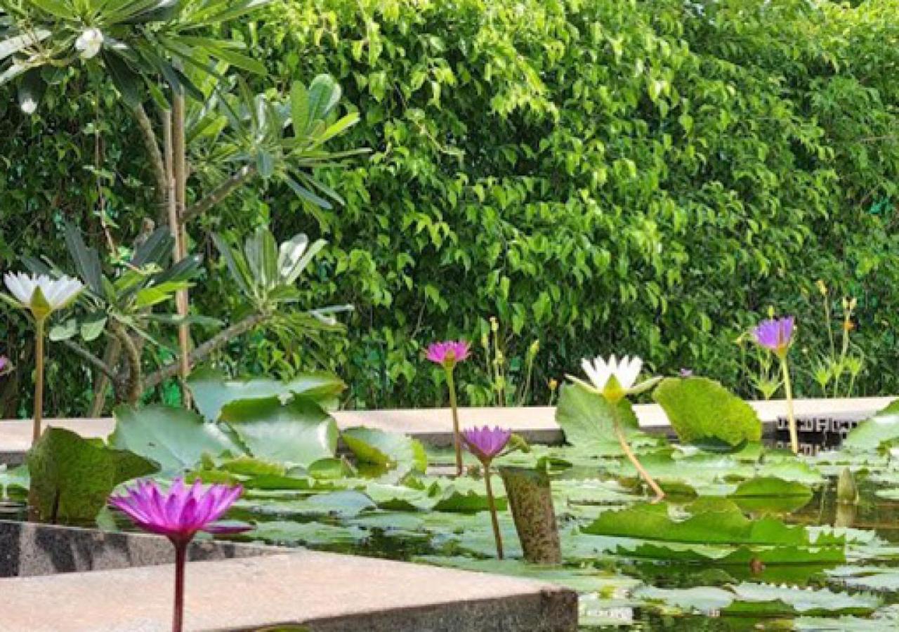 Oceanami Resort Sea View Long Hải Exterior foto