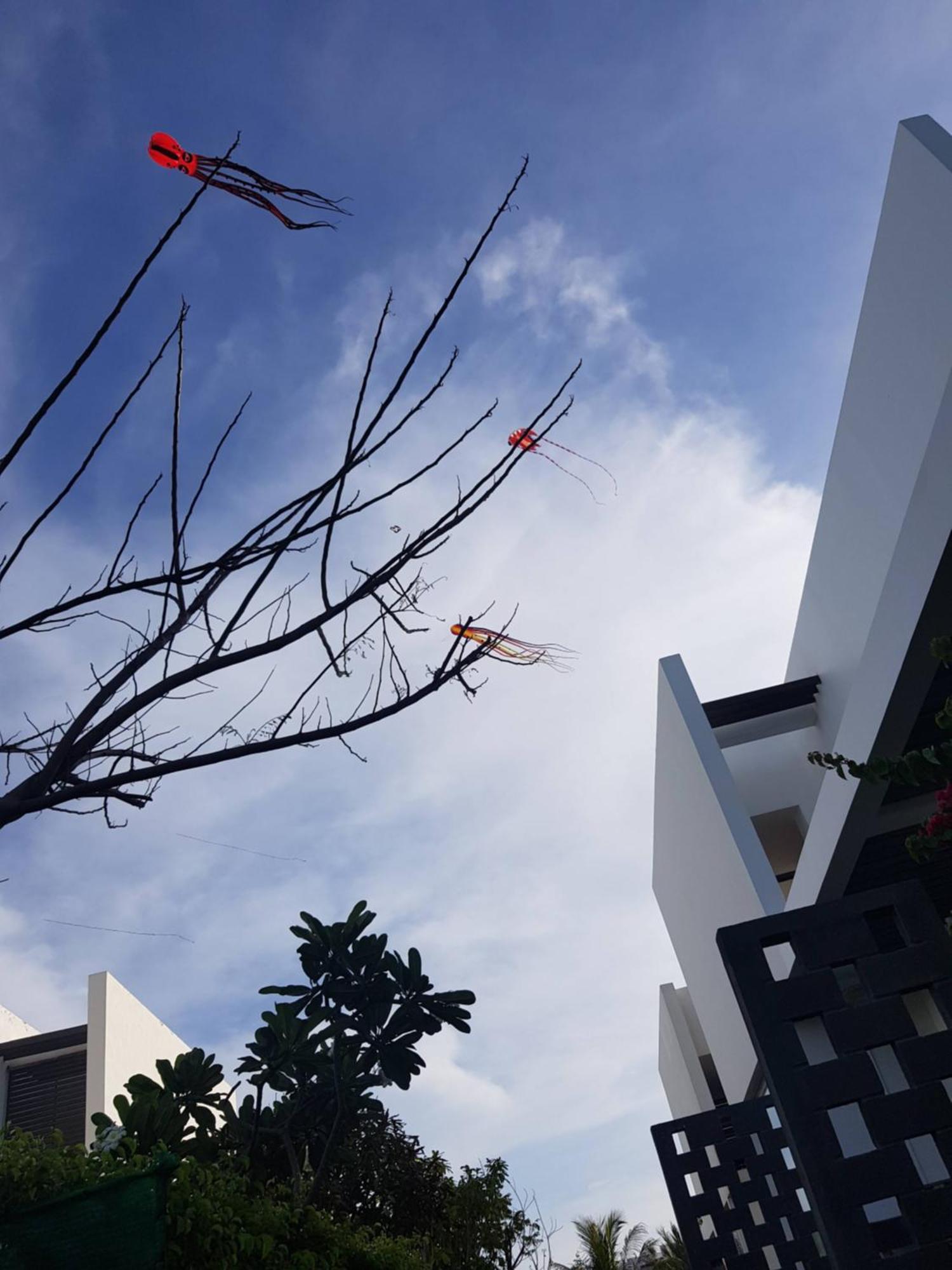 Oceanami Resort Sea View Long Hải Exterior foto
