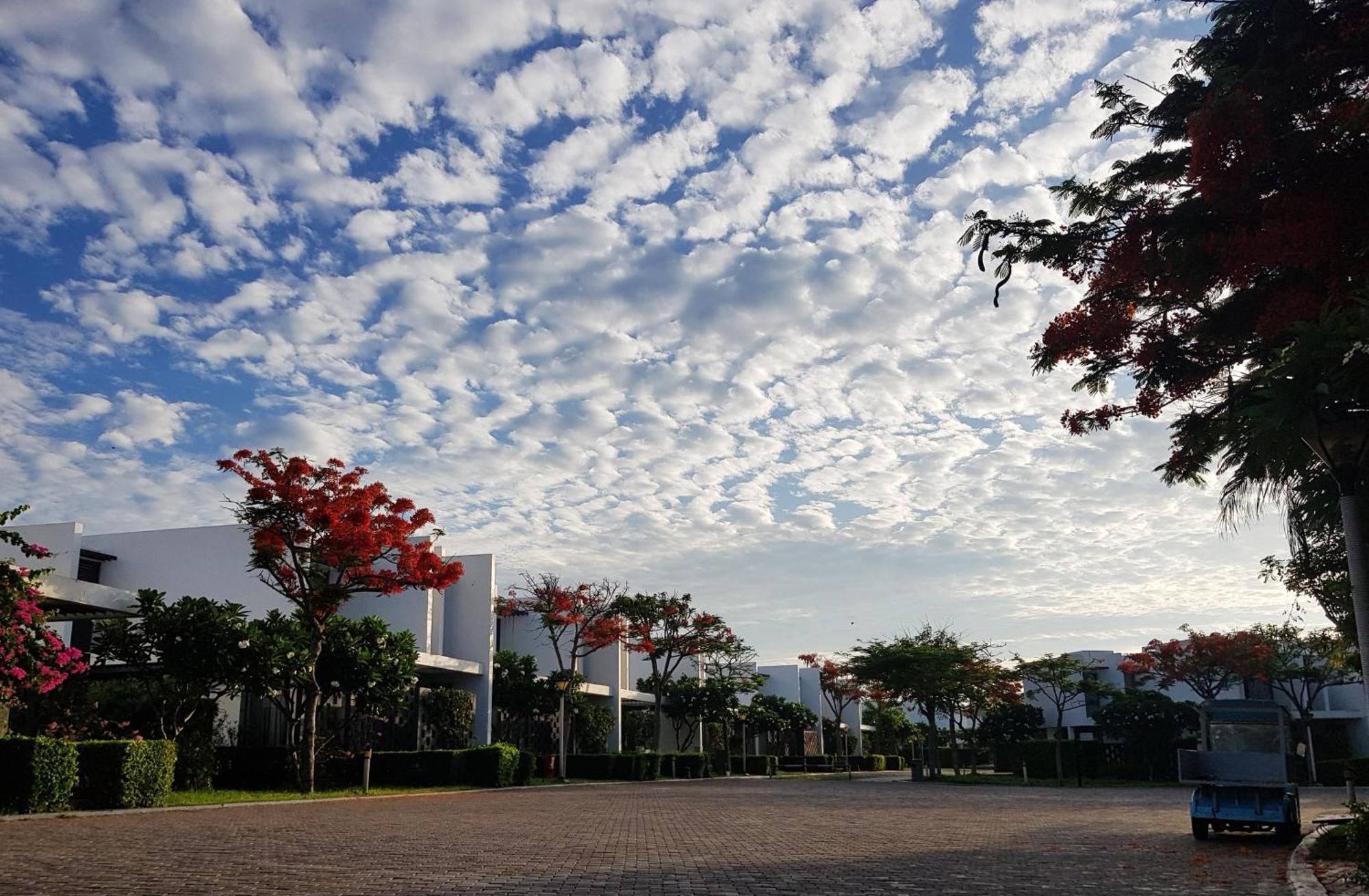 Oceanami Resort Sea View Long Hải Exterior foto